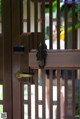 A close up of a door handle on a wooden gate.